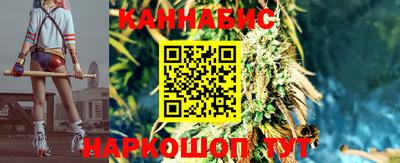 шишки Нальчик