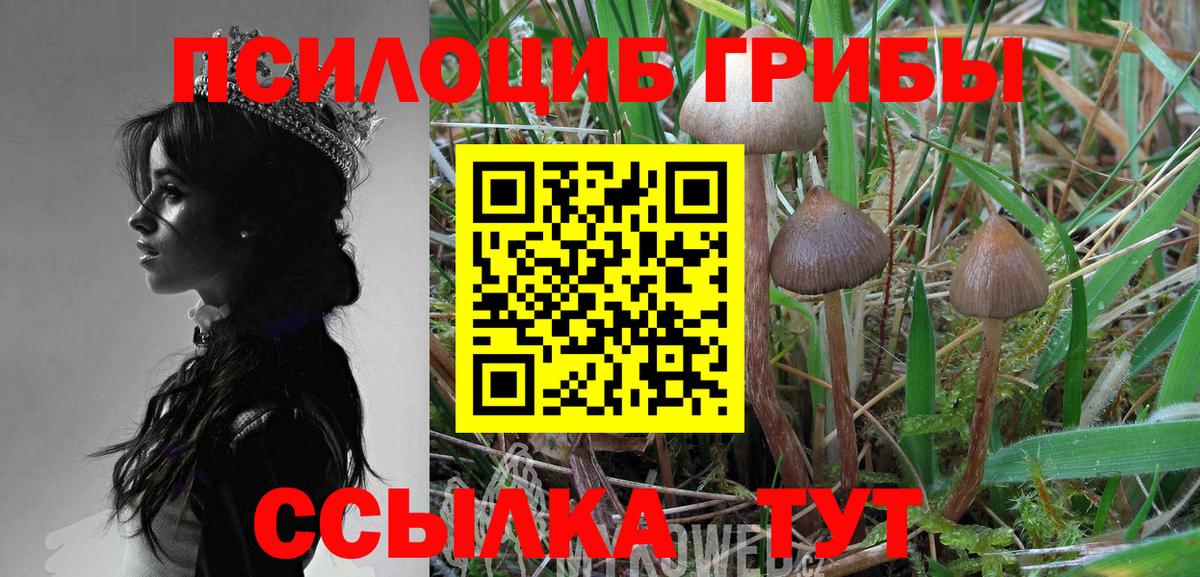 Галлюциногенные грибы MAGIC MUSHROOMS  Вход с VPN  Тихвин 