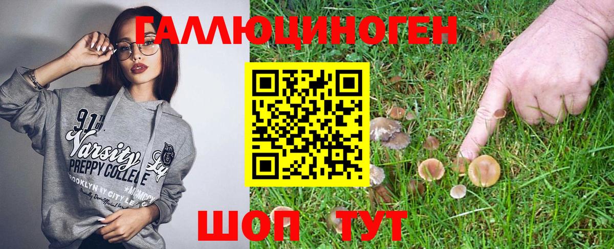Псилоцибиновые грибы Cubensis Тихвин